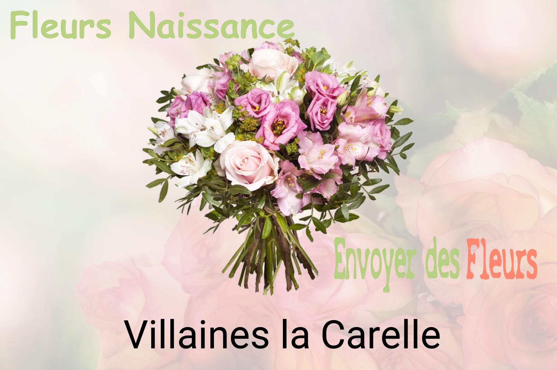 Bouquet de fleurs de naissance livré à Villaines-la-Carelle